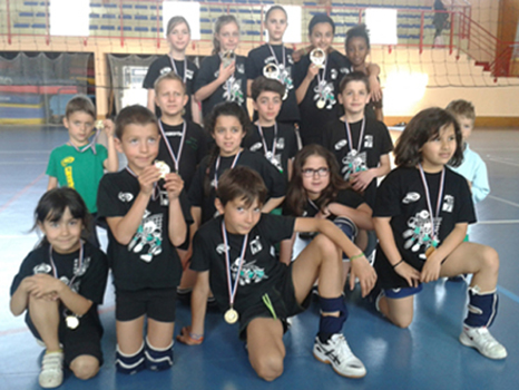 VOLLEY-BALL. Le joli cadeau de l'ASPTT Mulhouse vainqueur de Saint-Raphaël  (3-1)